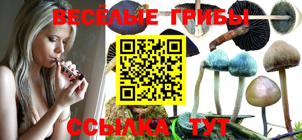 Псилоцибиновые грибы MAGIC MUSHROOMS  Вход с VPN  Таганрог 