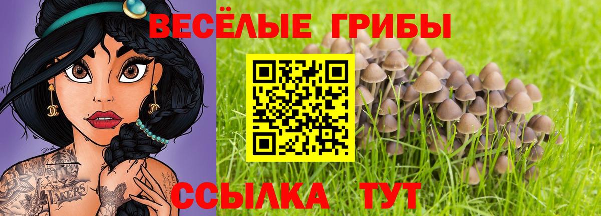 Псилоцибиновые грибы GOLDEN TEACHER Таганрог